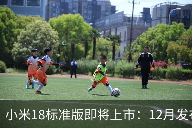小米18标准版即将上市：12月发布，缺乏防窥屏技术